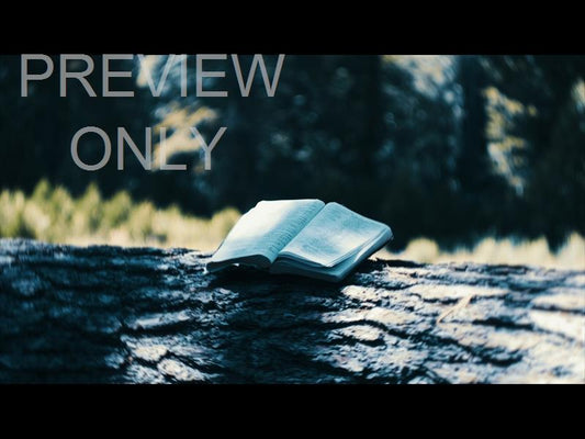 Bible And Crown 2 Still
