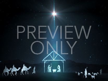 Starlight Nativity 8
