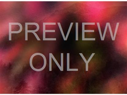 Radiant Harvest Still 8