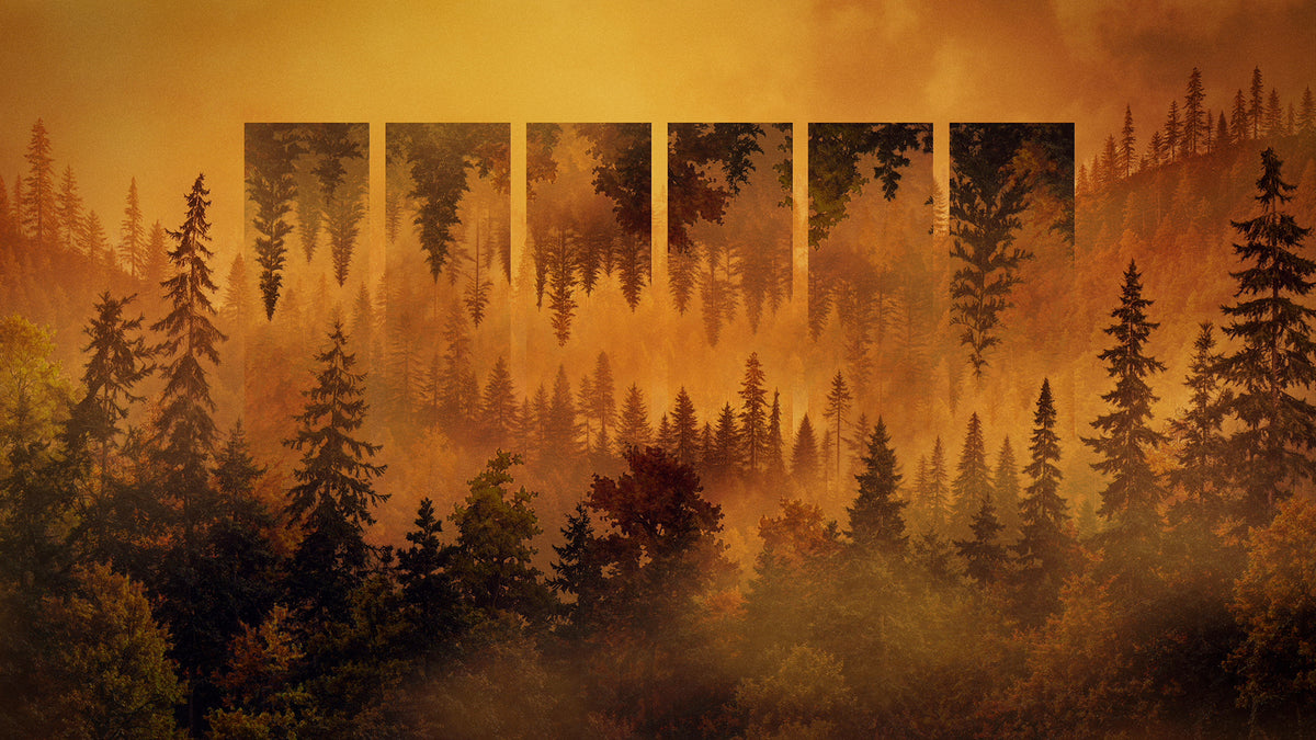 Ridgeline Fall 2 Remix