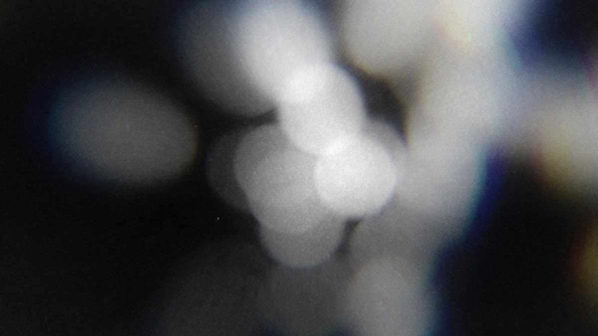 Faith in Focus 11