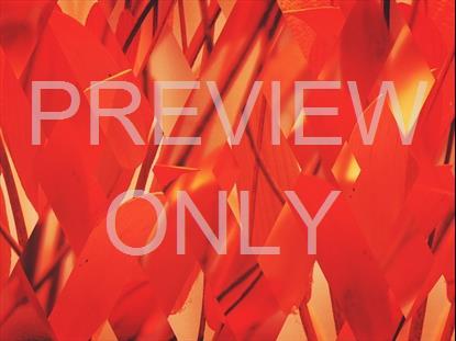 Spring Shift Red Full Still