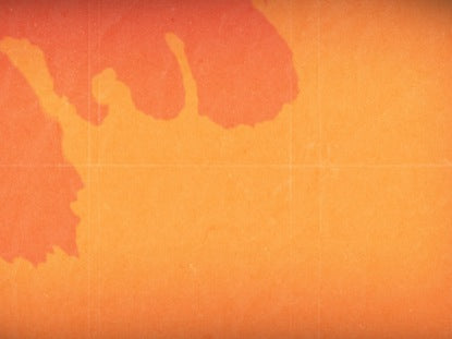 Orange Watercolor Motion