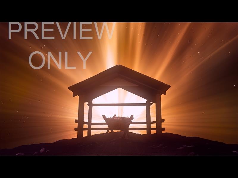 Christmas Manger 4 Still