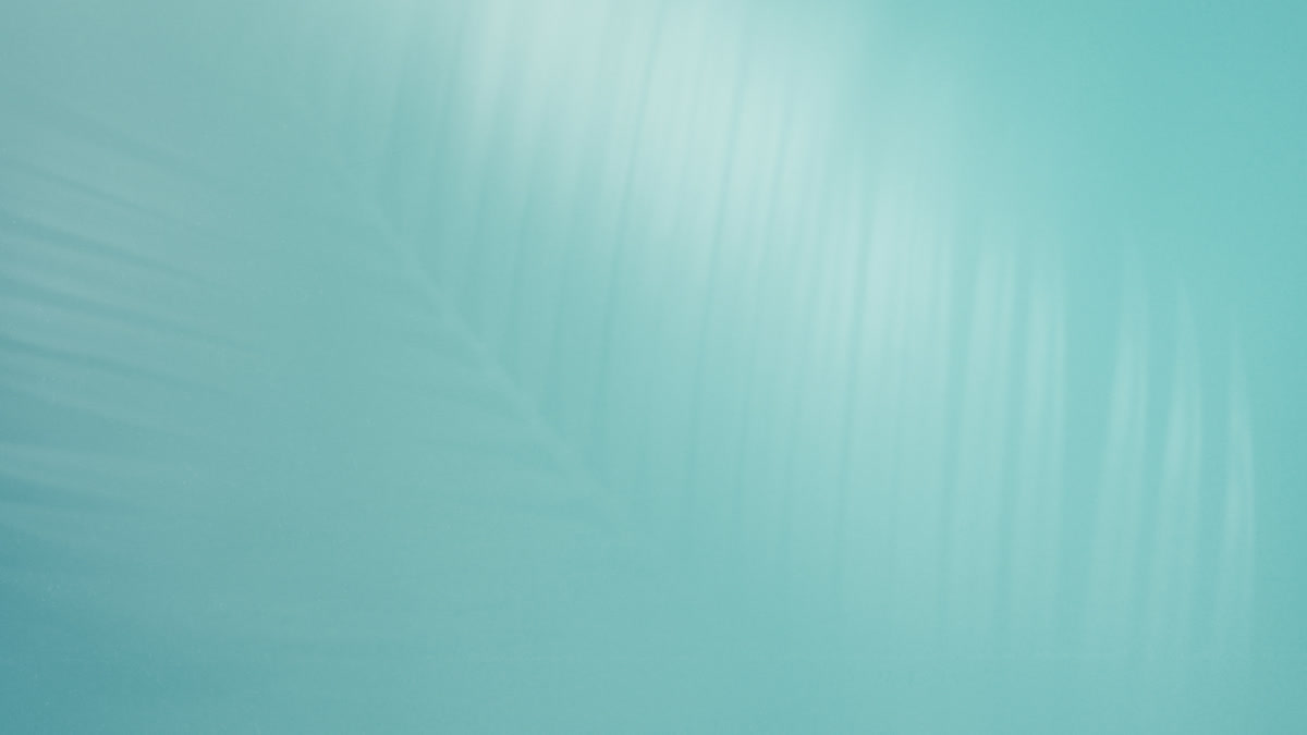 Living Hope Still 07