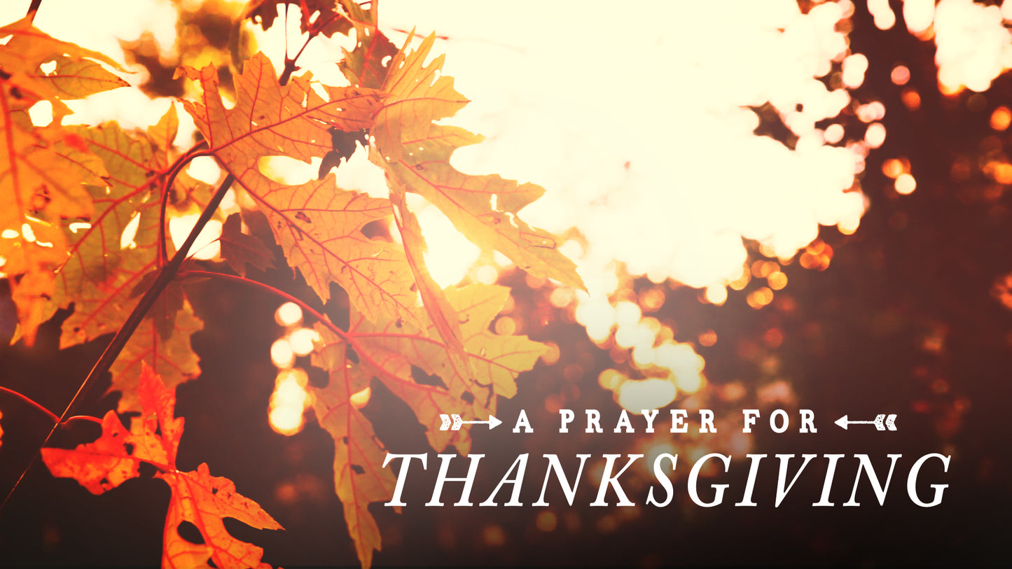 Thanksgiving Light Prayer Still