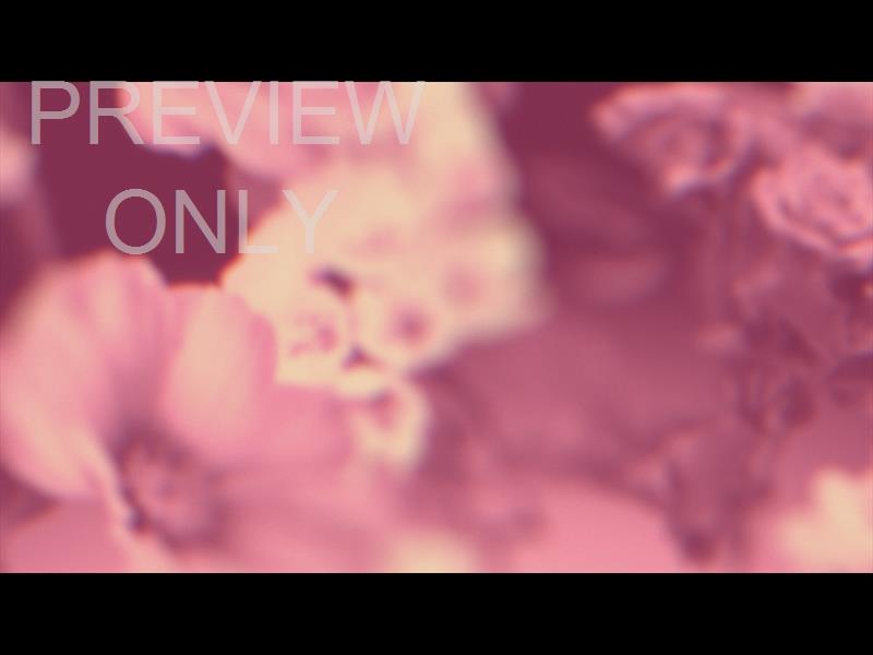 Made Beautiful Still 08