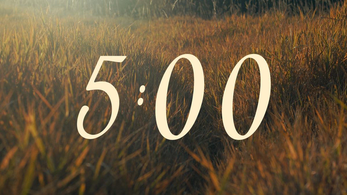 The Grass Countdown 02