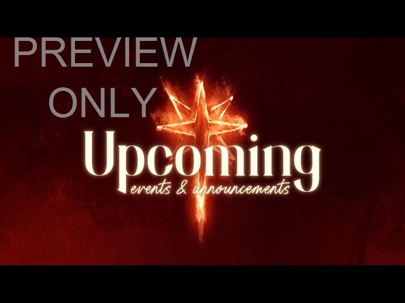 Light Of Christmas Upcoming Still