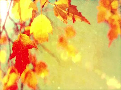 Seasons Change