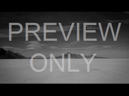 Salt Flat Flight Bw