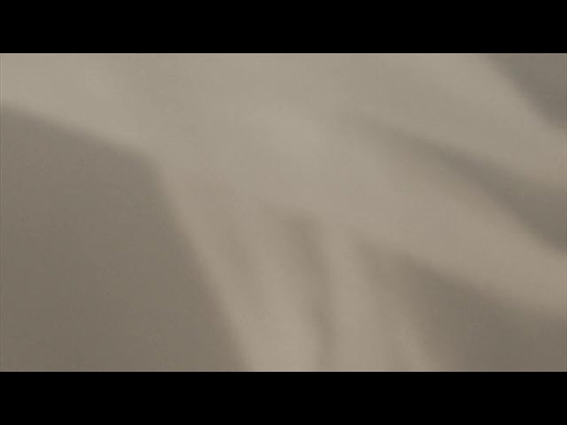 Stillness 8