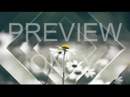 Newspring 3 Graphic