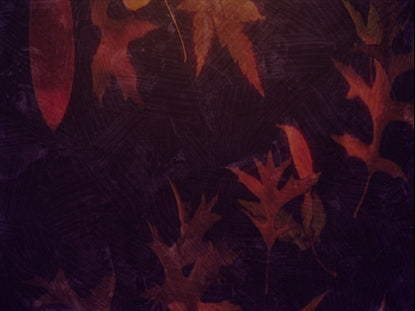 Fall Into Grace Motion 1
