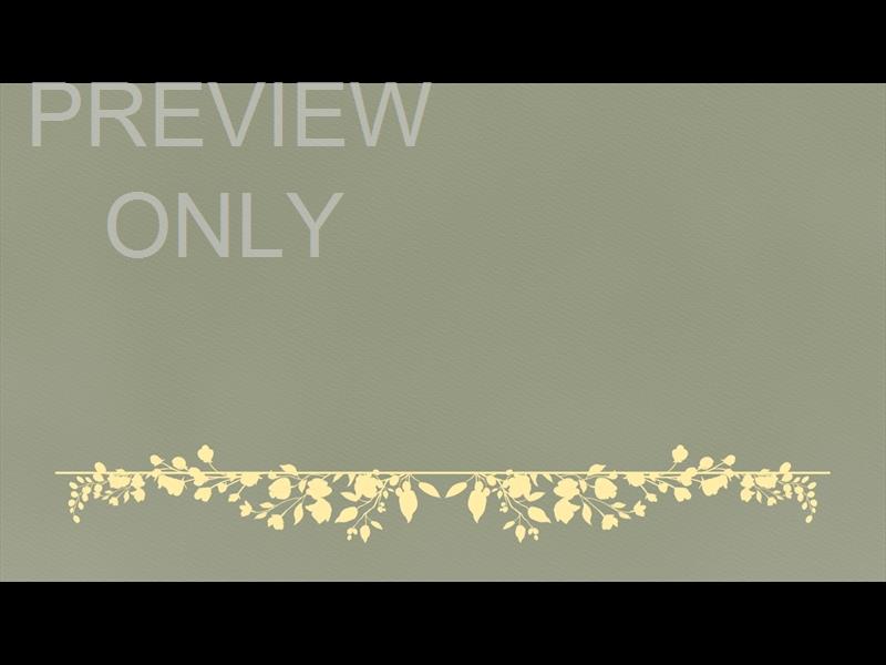 Petite Flower: Still 12