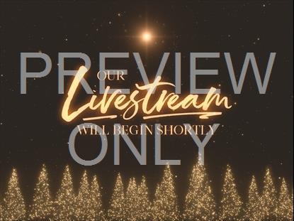 Christmas Gold Pines Livestream