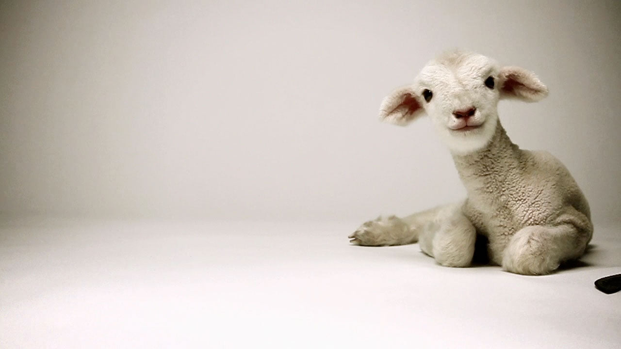 Good Friday Lamb