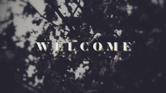 Bleak Beauty Welcome