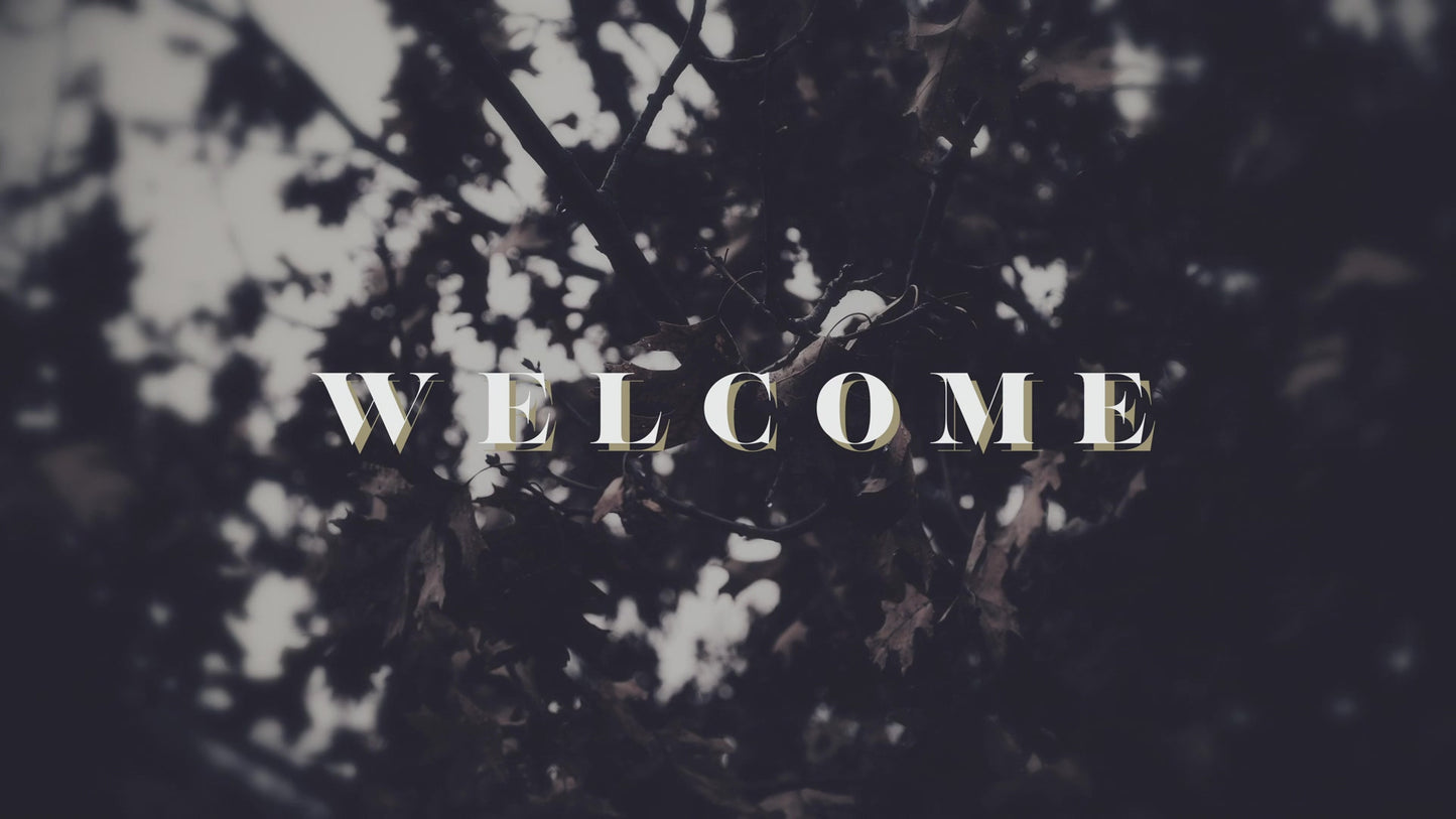 Bleak Beauty Welcome Still