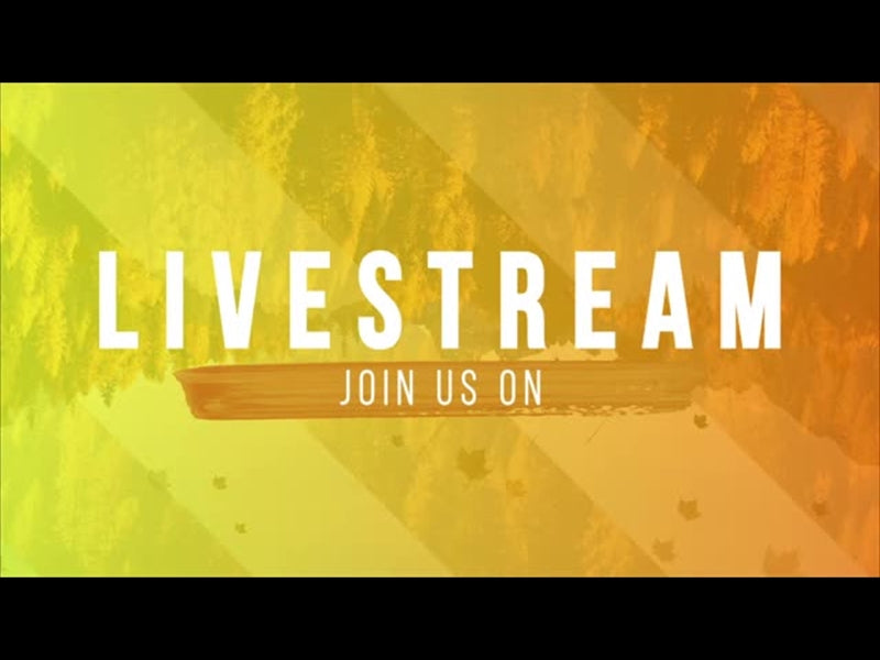 Gradient Leaves Live Stream Motion