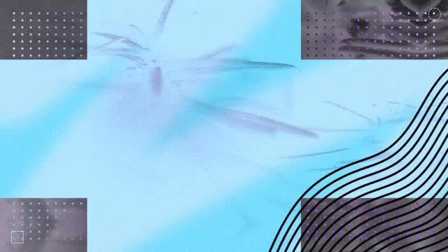 Wonder Background 05
