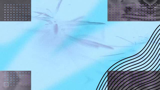 Wonder Background 05