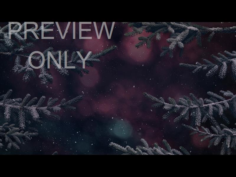 Christmas Wintertide 4 Still