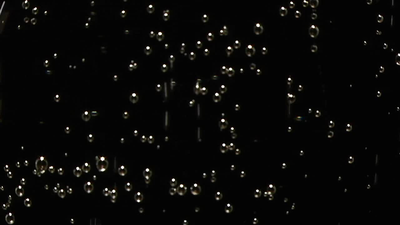 Rising Bubbles