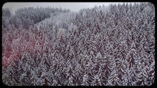Retro Winter 01