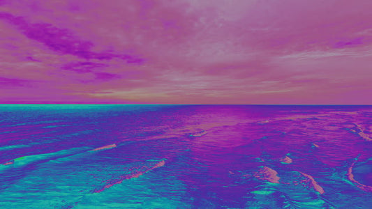 Electric Sunset 7 Alt