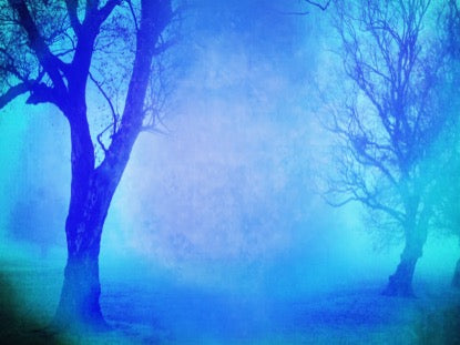 Autumn Forest 10 Motion