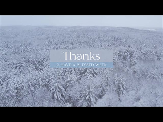 Winter Woods Thanks