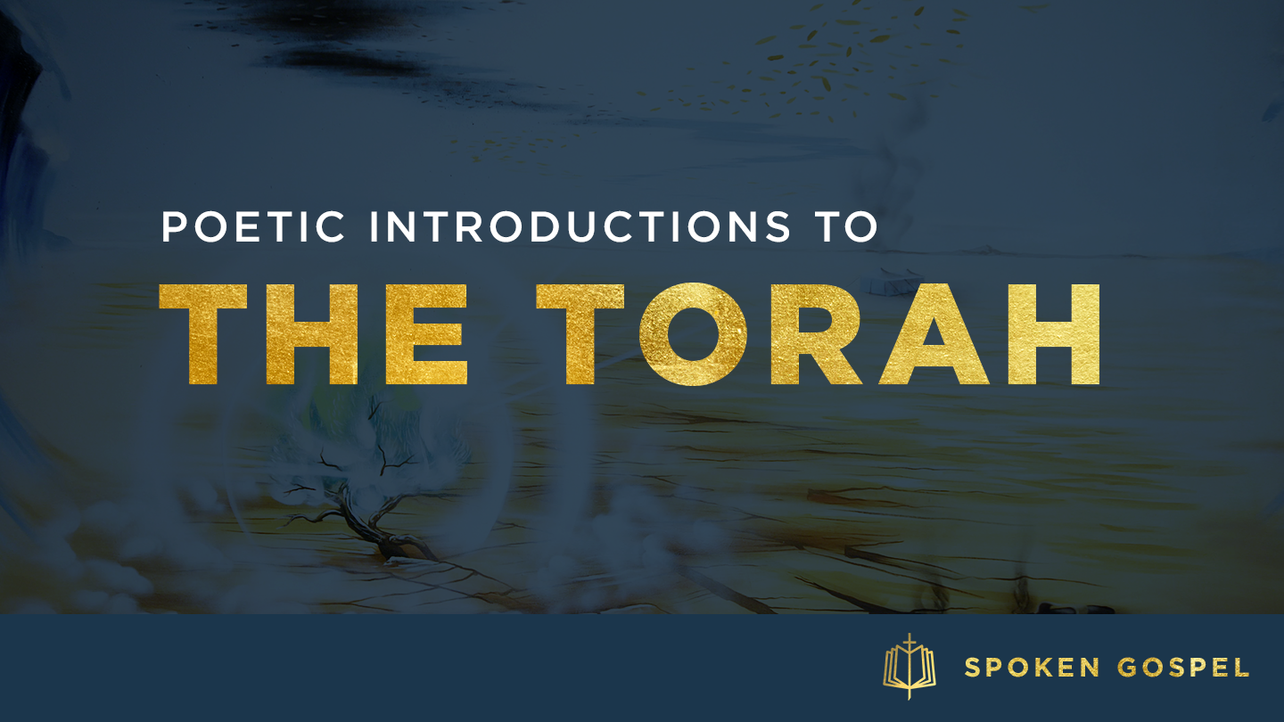 The Torah: Collection