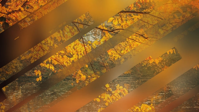 Autumn Journey 09