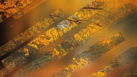 Autumn Journey 09
