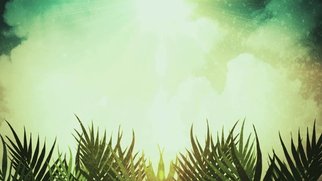 Palm Sunday Motion 02