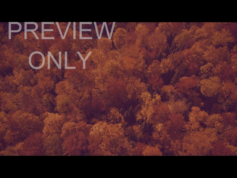 Epic Autumn Aerial Overhead Slow