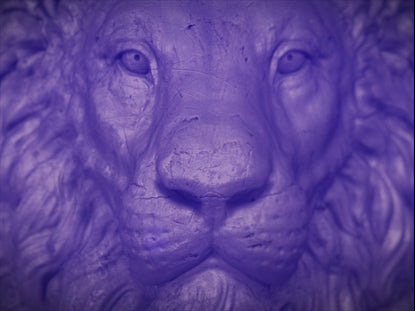 Last Words Of Christ: Lion