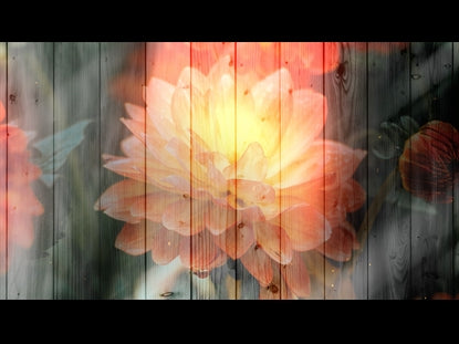 Floral Fusion 1