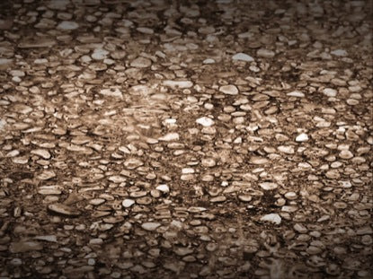 Rainy Sidewalk Sepia