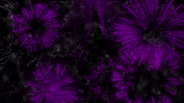Sparkle 07