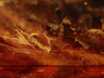 Thanksgiving 01 Blank 05