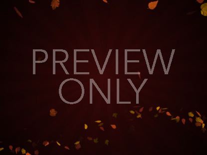 Autumn Wind Sunburst Red