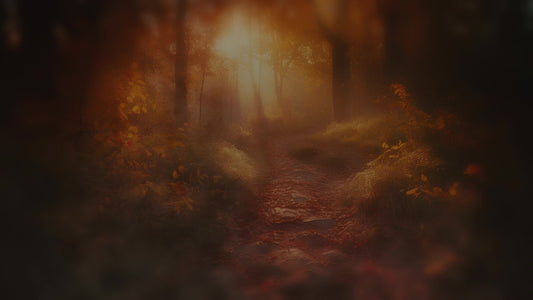 Autumn Path 5 Darken Still