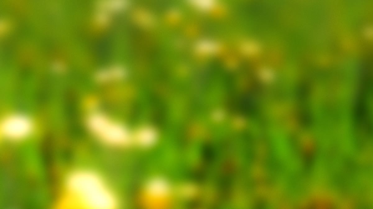 Springtime Bloom 16