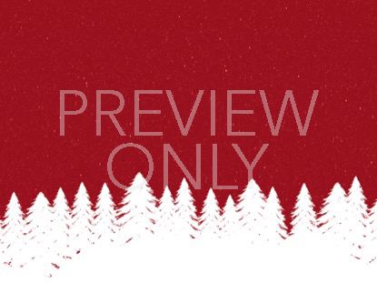 Winter Spruce 4 Still