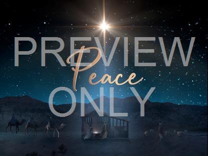 Starry Night Nativity Peace Still