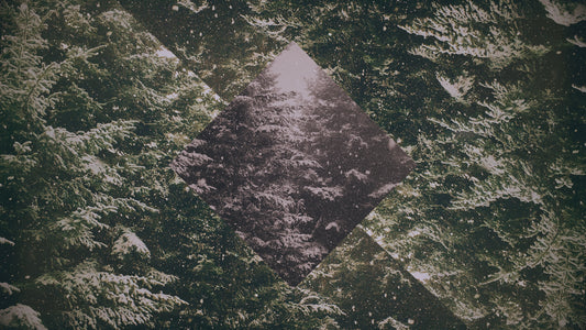 Christmas Forest 03 Still