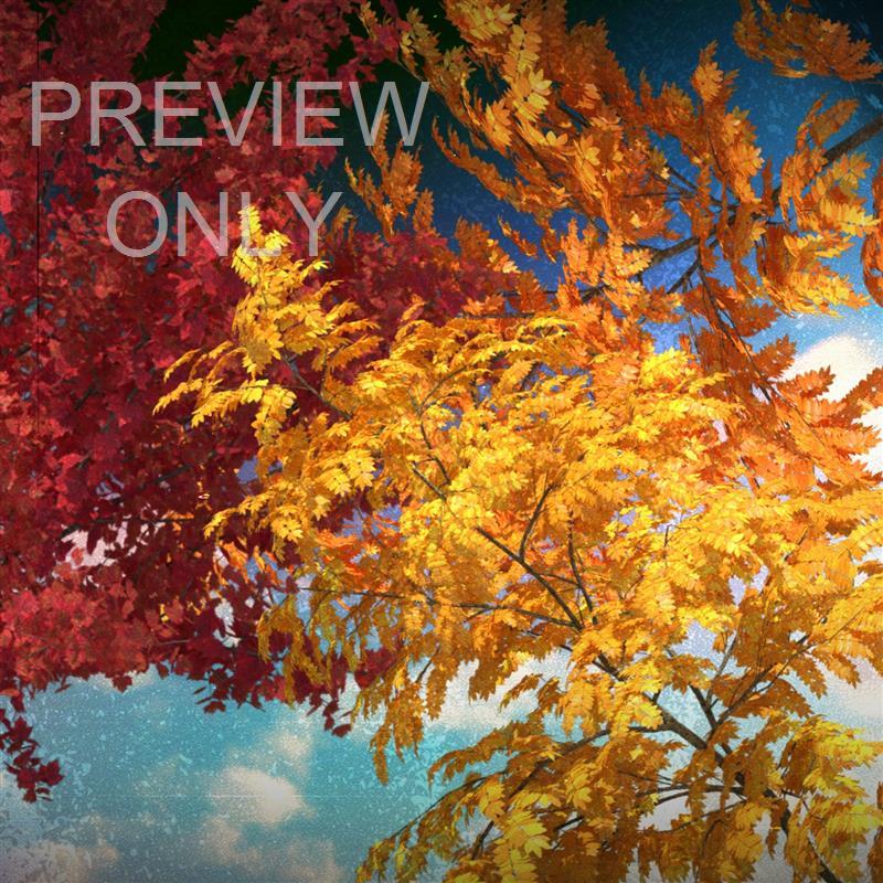 Seasonal Vibes: Fall Edition Social Graphic 2