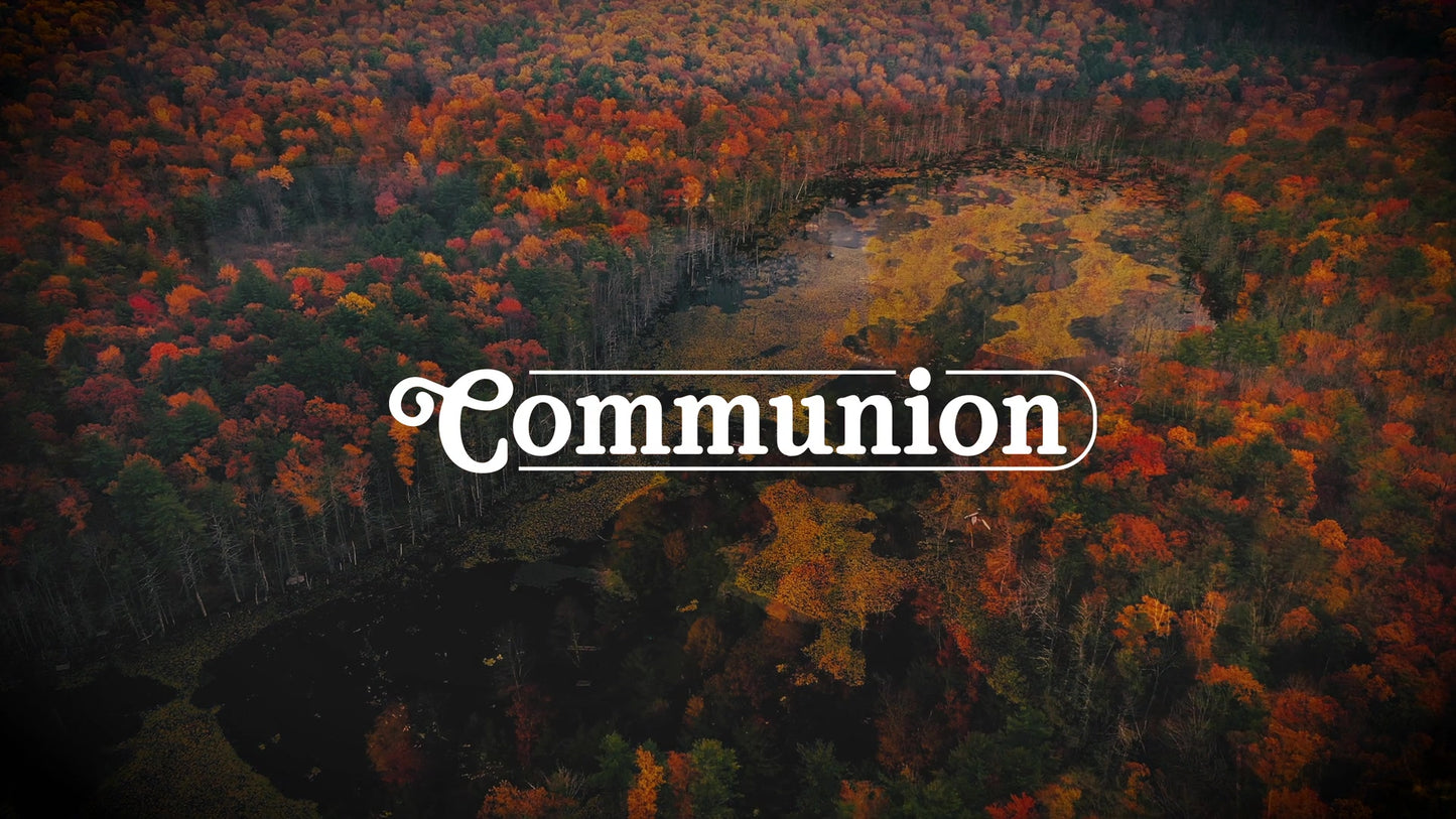 Autumn Colors Communion Still
